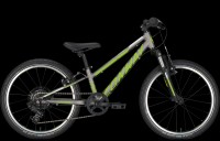 20" Conway Suspension 2018