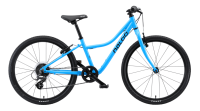 Naloo Chameleon 24"