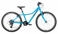 Naloo Chameleon 24"