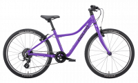 Naloo Chameleon 24"