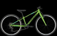 24" Conway Starrgabel-Mod. 2018