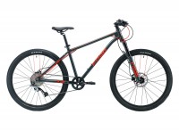 26" large Frog MTB72 2024