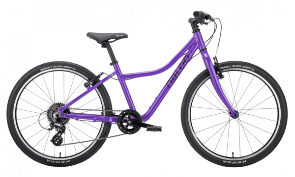 Naloo Chameleon 24"