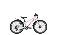 Conway 20" City Starrgabel MC200
