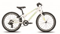 Conway 20" Starrgabel MS200