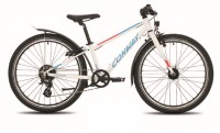 Conway 24" City Starrgabel 2019