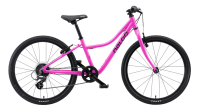 Naloo Chameleon 24"